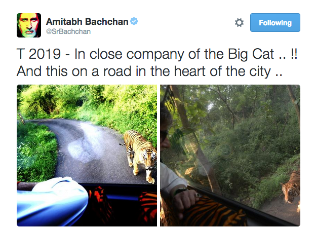 Screen Shot 2015-10-07 at 1.24.09 PM