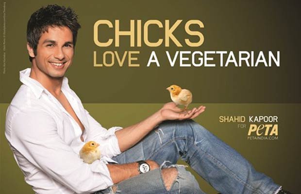 chks-Shahid-Kapoor-