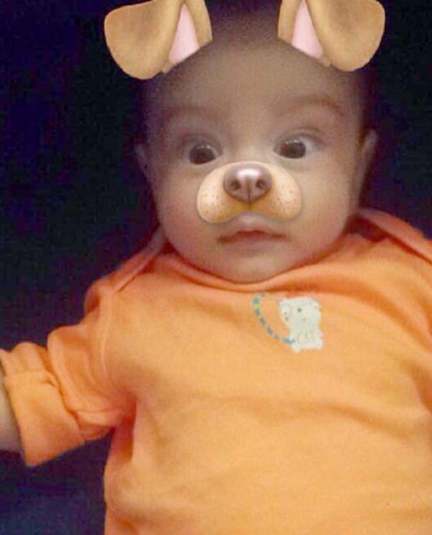 Ahil-Dog-Filter1