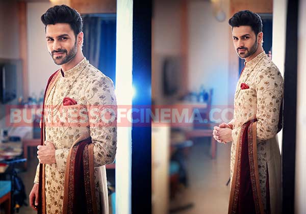 Vivek-dahiya-Weddings-2