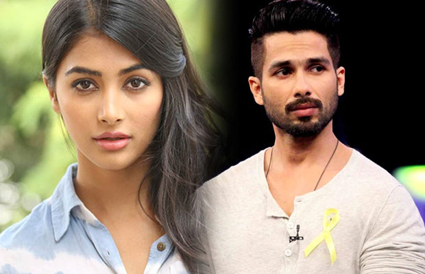 shahid-kapoor-pooja-hegde