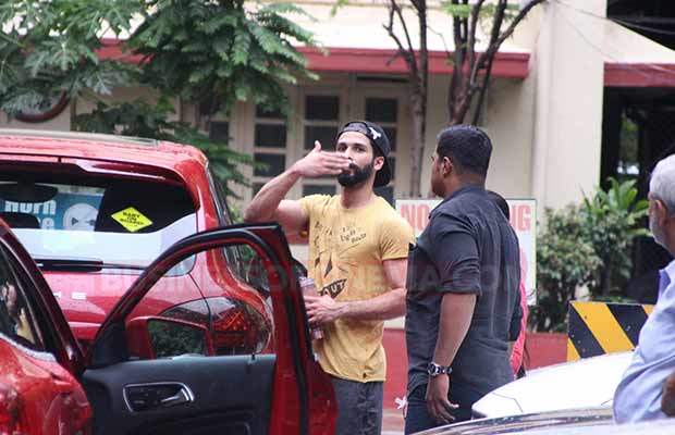 Shahid Kapoor Misha Kapoor