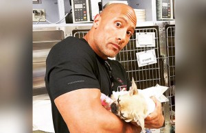Dwayne Johnson's Emotional RIP Message For His Dog Brutus!