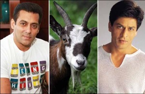 Salman Khan And Shah Rukh Khan Are On Sale!