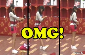 Bigg Boss 9 With Salman Khan: Rochelle Rao Breaks Her Rope With Prince Narula