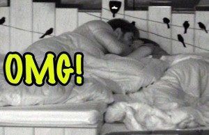 Bigg Boss 9 With Salman Khan: Keith-Rochelle's Hot Love Under Blanket!