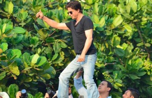 Watch: Shah Rukh Khan's 50th Birthday Plans Revealed!