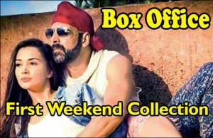 Box Office: Akshay Kumar's Singh Is Bliing First Weekend Collection