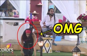Bigg Boss 9 With Salman Khan: The Two Dogs Of The House!