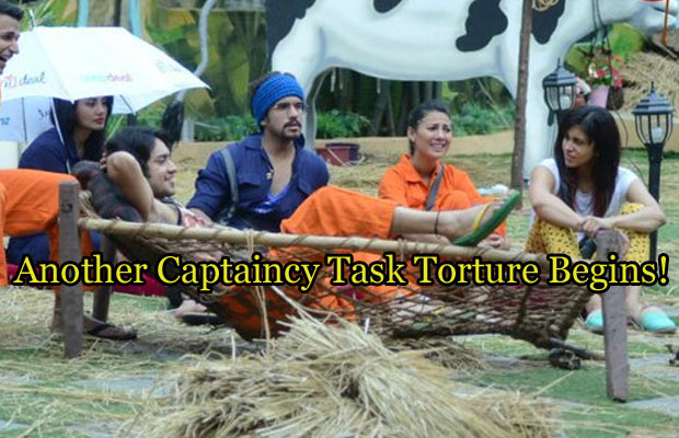 Exclusive Bigg Boss 9: Another Captaincy Task Torture Begins!