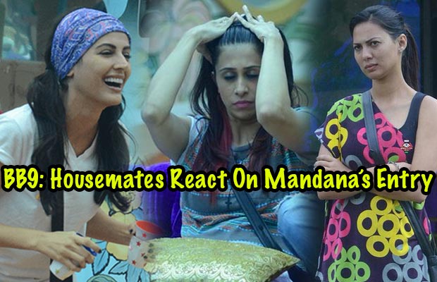 Breaking Bigg Boss 9 With Salman Khan: Housemates Reaction When Mandana Karimi Re-Enters The House