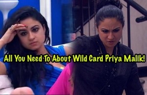 Bigg Boss 9: All You Need To About 4th Wild Card Entry Priya Malik!