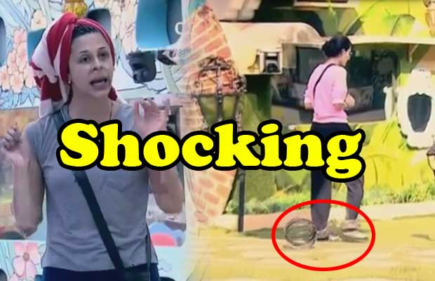 Bigg Boss 9: Shocking! Mandana Karimi Tied Up Into Iron Legcuffs Because Of Kishwer Merchant?