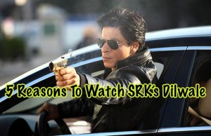 6 Reasons To Watch Shah Rukh Khan And Kajol's Dilwale!