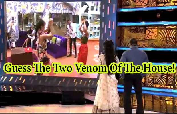 Exclusive Bigg Boss 9: Guess Who Are The Two Venom Of The House!