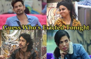 Breaking Bigg Boss 9: Tonight's Eviction With Salman Khan