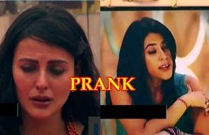 Exclusive Bigg Boss 9: You Won't Believe What Prank Ekta Kapoor Plays With Mandana Karimi