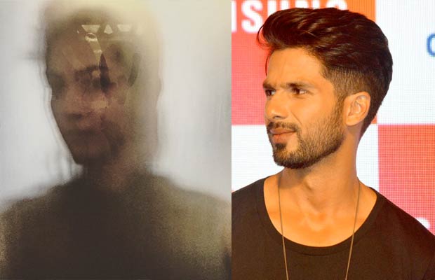 Watch: Shahid Kapoor Shares A Steamy Photo Of Wife Mira Rajput!