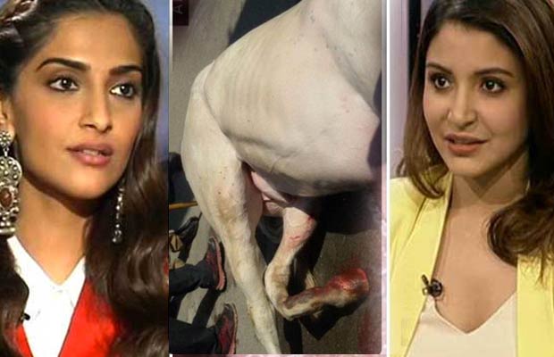 Sonam Kapoor, Anushka Sharma And Sunny Leone Voice Their Angst Against The  Horse Being Beaten Up - Business Of Cinema