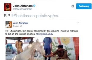 Bollywood Celebs Mourn Over Police Horse Shaktimaan's Death