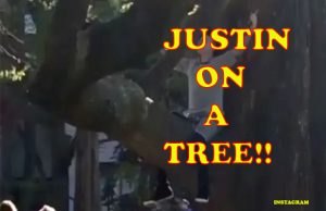 Watch: Justin Bieber Spotted Sitting On A Tree, And Look What He's Doing!