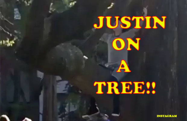 Watch: Justin Bieber Spotted Sitting On A Tree, And Look What He’s Doing!