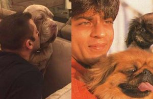Photos: Bollywood Stars With Their Pets