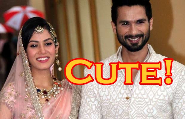 Mira Rajput’s One Condition To Marry Shahid Kapoor!