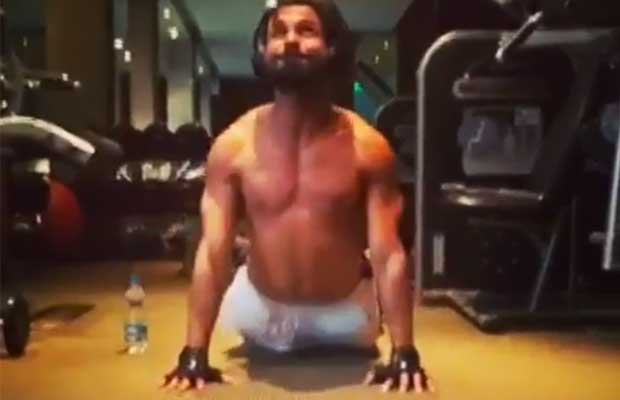 This Rigid Work Out Video Of Shahid Kapoor Will Leave You Wanting For More!