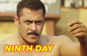 Box Office: Salman Khan And Anushka Sharma's Sultan Ninth Day Collection