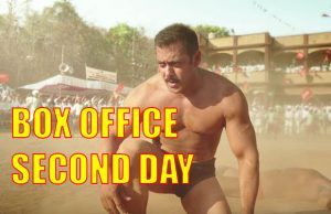 Box Office: Salman Khan's Sultan Second Day Collection
