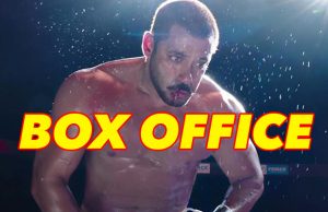 Box Office: Salman Khan's Sultan Nears Its Final Collection