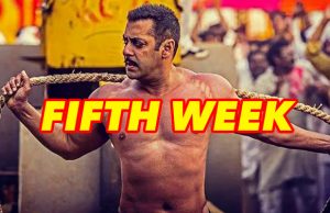 Box Office: Salman Khan's Sultan Fifth Week Collection