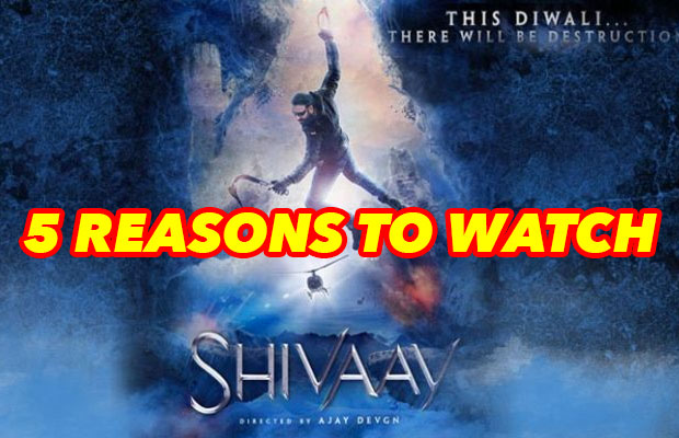 5 Reasons To Watch Ajay Devgn’s Shivaay!