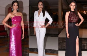 Sonam Kapoor, Sonakshi Sinha And Others Make Stylish Appearance At Brand Vision Awards 2016