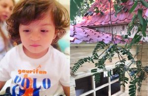 Photos: Shah Rukh Khan's Son AbRam Khan's Tree House Will Make You Want One Now!