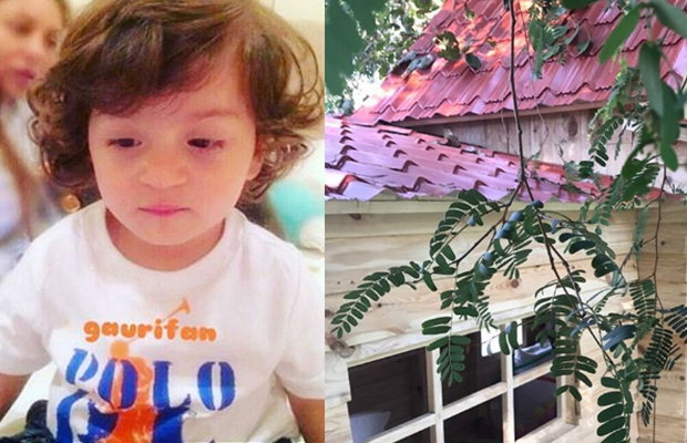 Photos: Shah Rukh Khan’s Son AbRam Khan’s Tree House Will Make You Want One Now!