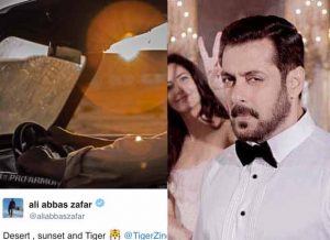 Salman Khan's Tiger Zinda Hai New Still: Desert, Sunset And Tiger