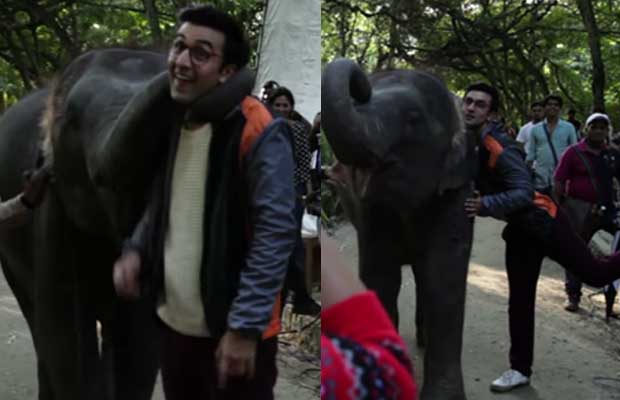 When Team Jagga Jasoos Had Haathi As Their Saathi On The Sets