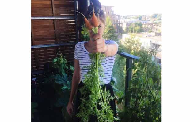 Katrina Kaif Is Growing Her Own Organic Carrots! View Pic