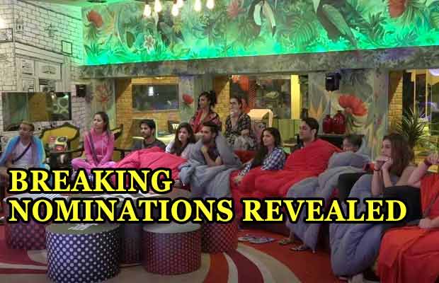 Exclusive Bigg Boss 11: These 5 Contestants Get NOMINATED For The Second Week’s Eviction!