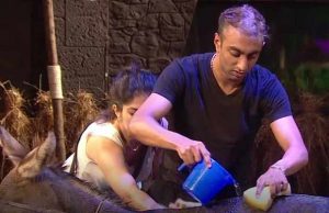 Exclusive Bigg Boss 11: Guess Who Won The SECOND Round Of BB Farm Task- Gharwaale Or Padosi?