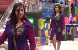 Bigg Boss 11: Arshi Khan Provokes Luv Tyagi To Check Her Private Parts!