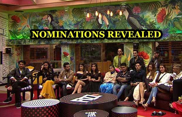 EXCLUSIVE Bigg Boss 11 Nominations: With Huge TWIST, 5 Contestants NOMINATED For This Week’s Eviction!