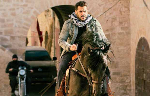 salman khan, tiger zinda hai, katrina kaif, salman khan tiger zinda hai, race 3, bollywood