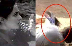 Bigg Boss 11: Hina Khan Accuses Vikas Gupta Of Touching Her, Akash Dadlani Becomes Game Changer-Watch