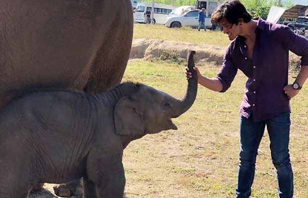 Junglee Actor Vidyut Jammwal Celebrates Christmas With His New Buddy!