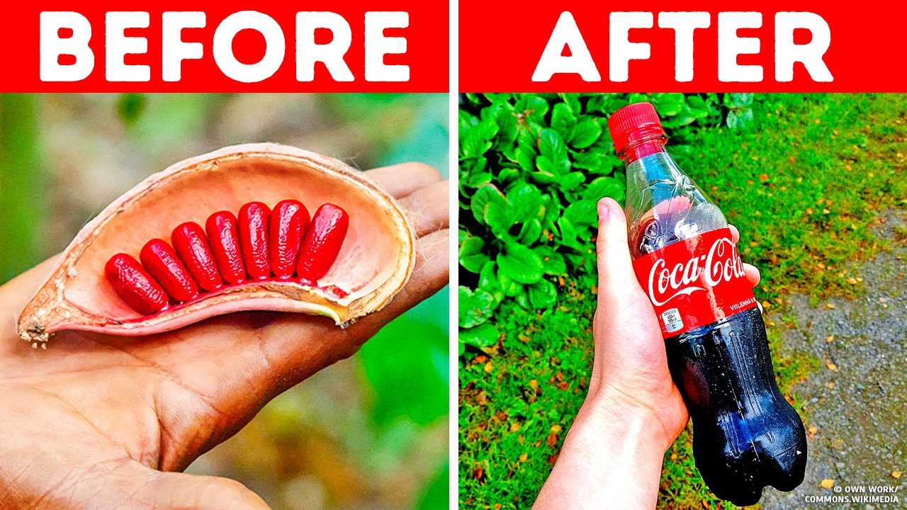 20 Everyday Items That Rely on Unexpected Ingredients